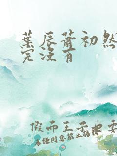 叶辰萧初然更新完没有