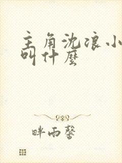 主角沈浪小说名叫什么 主角沈浪小说名叫什么