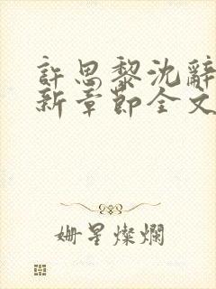 许思黎沈辞越最新章节全文免费阅读