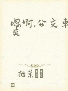 嗯啊,公交车,爽