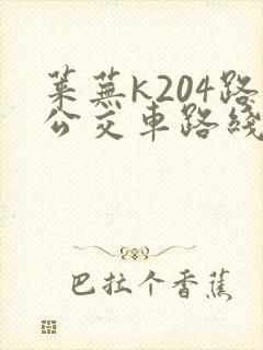 莱芜k204路公交车路线查询