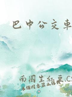 巴中公交车查询