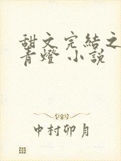 甜文完结之后 青灯 小说 甜文完结之后 青灯 小说