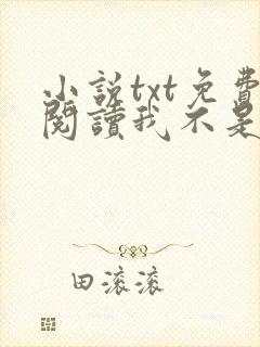 小说txt免费阅读我不是戏神