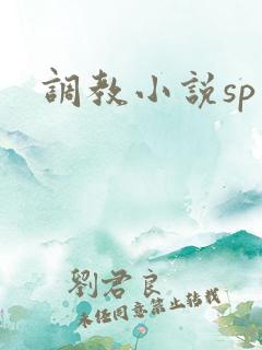 调教小说sp