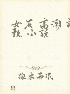女友 高潮 调教 小说