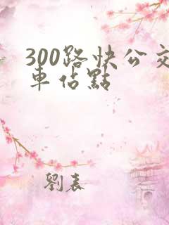 300路快公交车站点