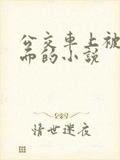 公交车上被摸下面的小说 公交车上被摸下面的小说