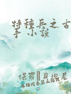 特种兵之古武高手 小说