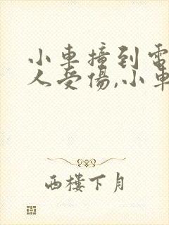小车撞到电瓶车人受伤,小车全责赔付多少钱