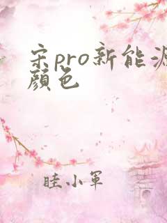 宋pro新能源颜色