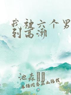 我被六个男人躁到高潮