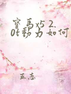 宝马x5 2.0t动力如何