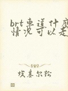 brt车道什么情况可以走
