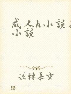 成人h小说在线小说