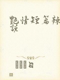 艳情短篇辣文小说