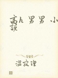 高h 男男 小说