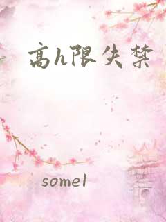 高h限失禁