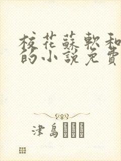 校花苏软和沈越的小说免费阅读