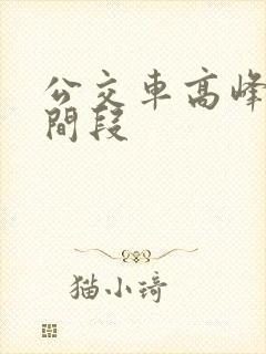 公交车高峰期时间段