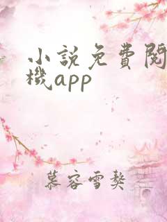 小说免费阅读手机app 小说免费阅读手机app