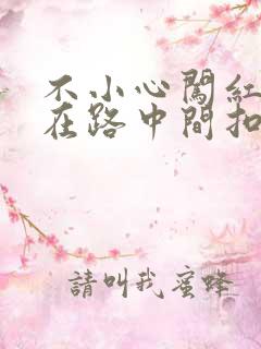 不小心闯红灯停在路中间扣分吗
