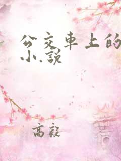 公交车上的爱爱小.说