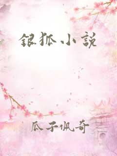 银狐小说