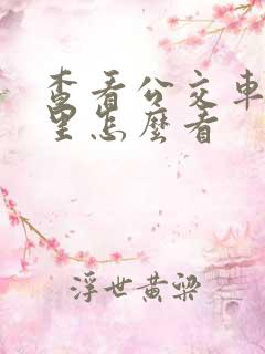 查看公交车在哪里怎么看