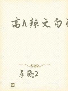 高h辣文勾引