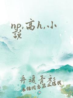 np,高h,小说
