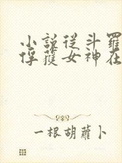 小说从斗罗开始俘获女神在线阅读全文