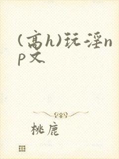 (高h)玩淫np文