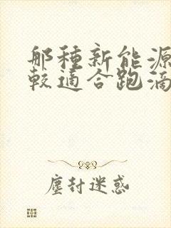 那种新能源车比较适合跑滴滴