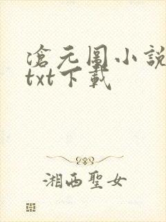 沧元图小说全本txt下载