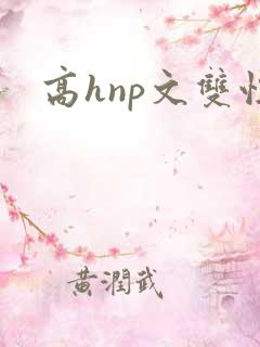 高hnp文双性