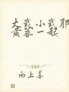 大武小武耶律齐黄蓉一起