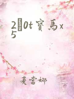 2·0t宝马x5