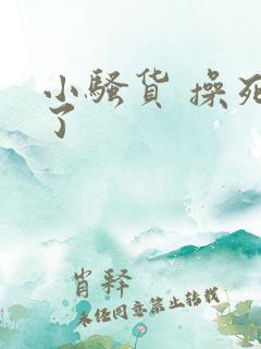 小骚货 操死我了