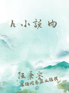 h 小说 肉