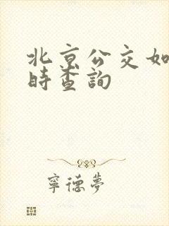 北京公交如何实时查询