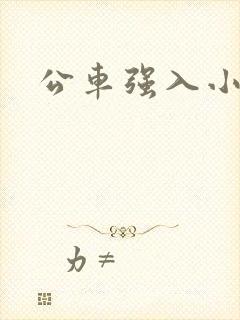 公车强入小说
