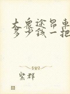 大众途昂车钥匙多少钱一把