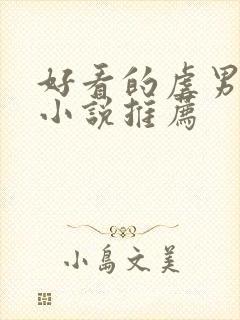 好看的虐男主的小说推荐