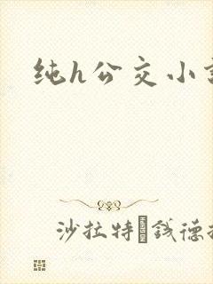 纯h公交小说 纯h公交小说