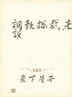 调教总裁老婆小说