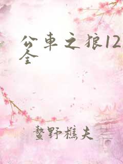 公车之狼12集全