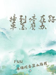 撞到停在路边的车怎么办