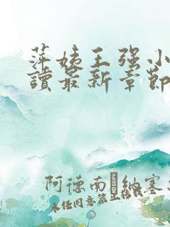 萍姨王强小说阅读最新章节