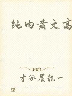 纯肉黄文高h